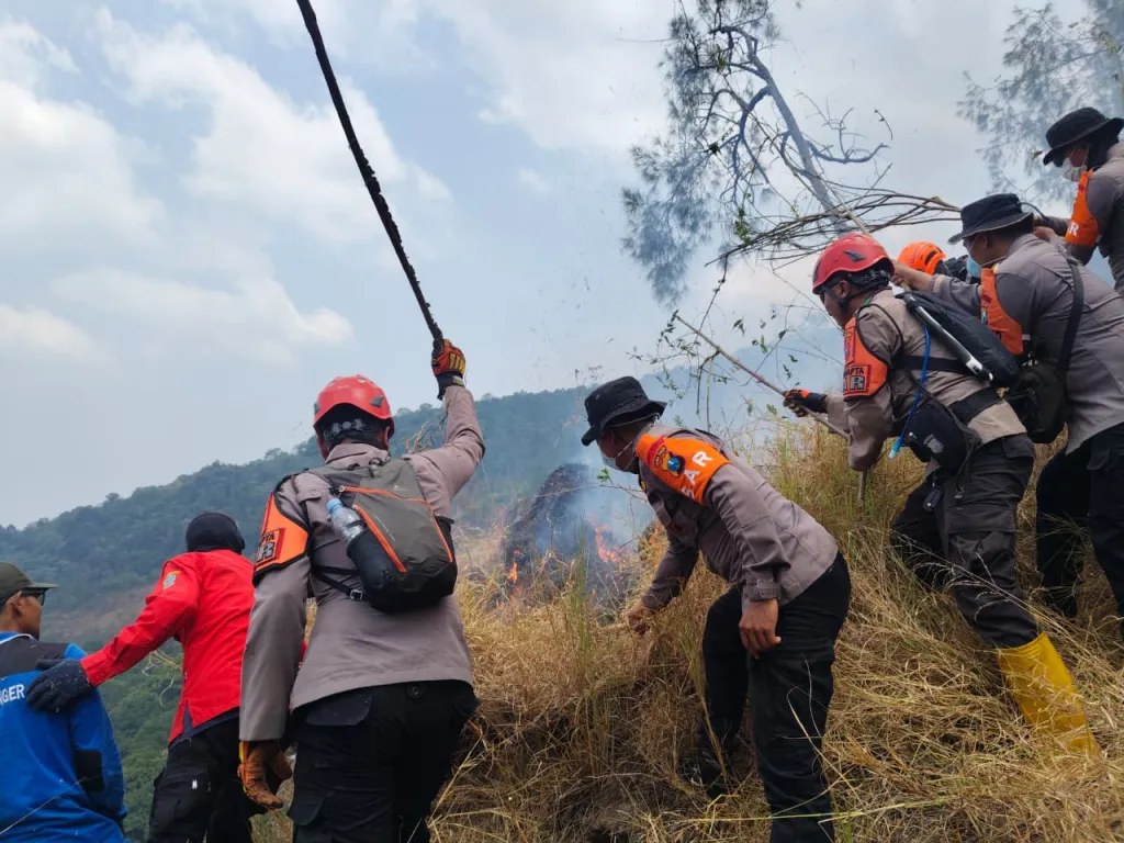 *Polda Jatim dan Tim Gabungan Tangani Karhutla Gunung Arjuno Sisir 4 Wilayah* PASURUAN – Personel Polda Jawa Timur bers
